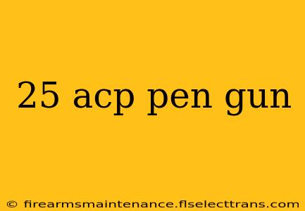 25 acp pen gun